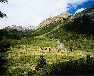 《维纳斯璀璨假期：死或生Xtreme》新情报 腹肌系统等